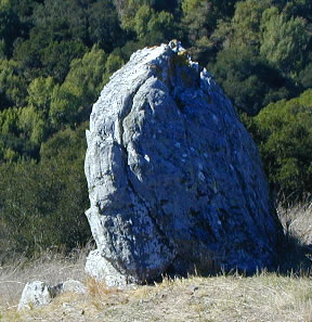 Rock on Hillside